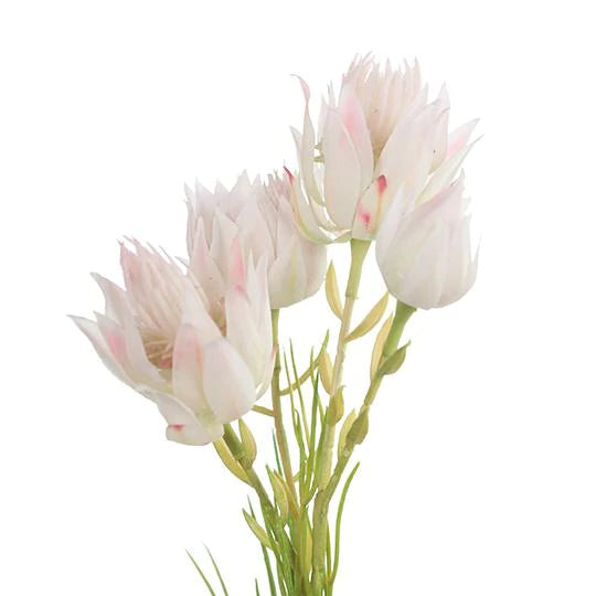 Blushing Bride Spray Cream Pink (53cml)