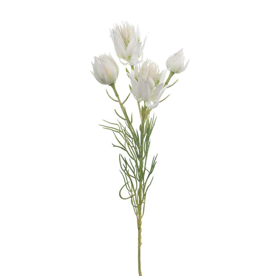 Blushing Bride Spray White (53cml)