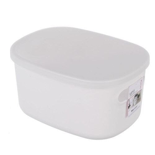 Levi Storage Container W/Lid 26.5X22X15Cm