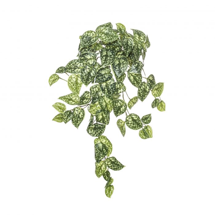 Rogue Aluminum Hanging Bush Green 35x20x65cm