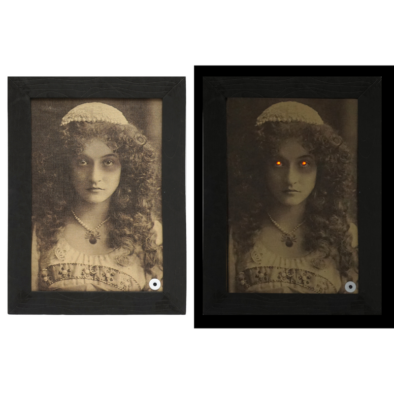 Animated Haunted Photo