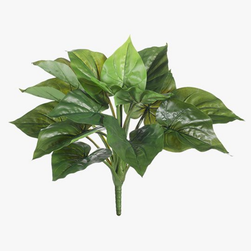 Ronis Caladium Bush Green 50cml