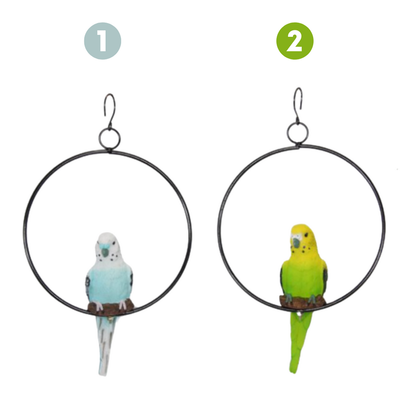 Realistic Budgie in Ring 2 AssortedKD 18cm