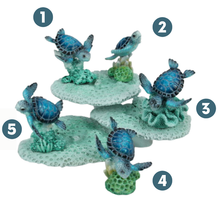 Turtle On Coral W/Coral Base 8cm