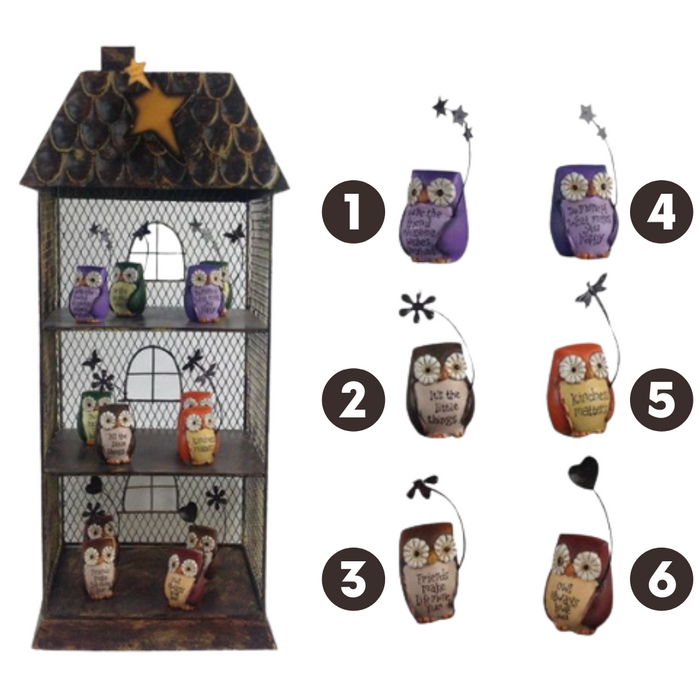 Mini Owls W/Wording & Display