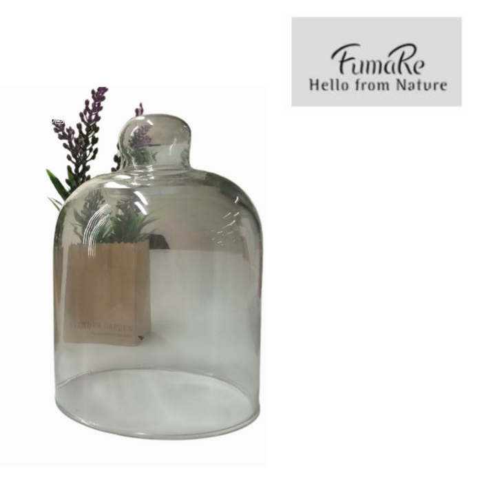 Glass Dome™ Clear Glass Dome 9x14cm