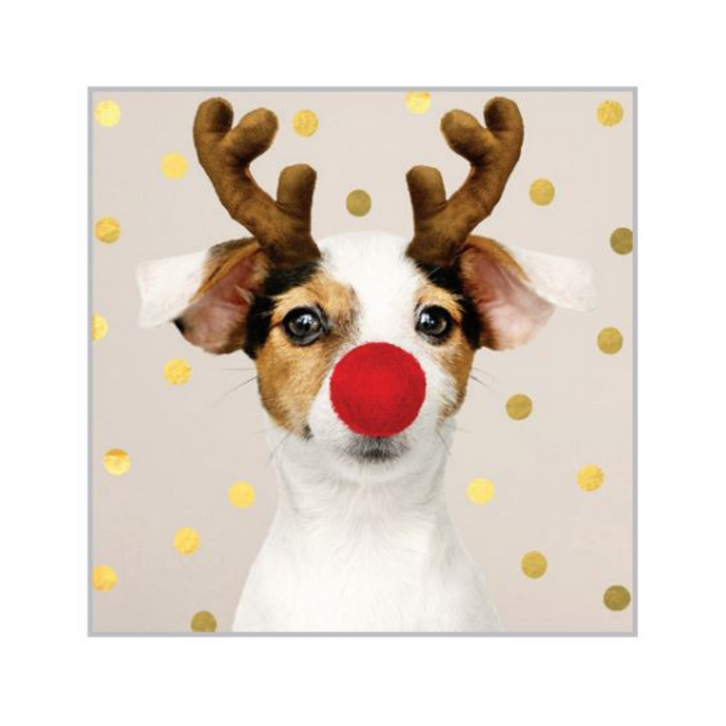 Diamond Art Christmas Dog 30x30cm
