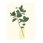 Ronis Canvas Bella Boheme 30x40cm Assorted