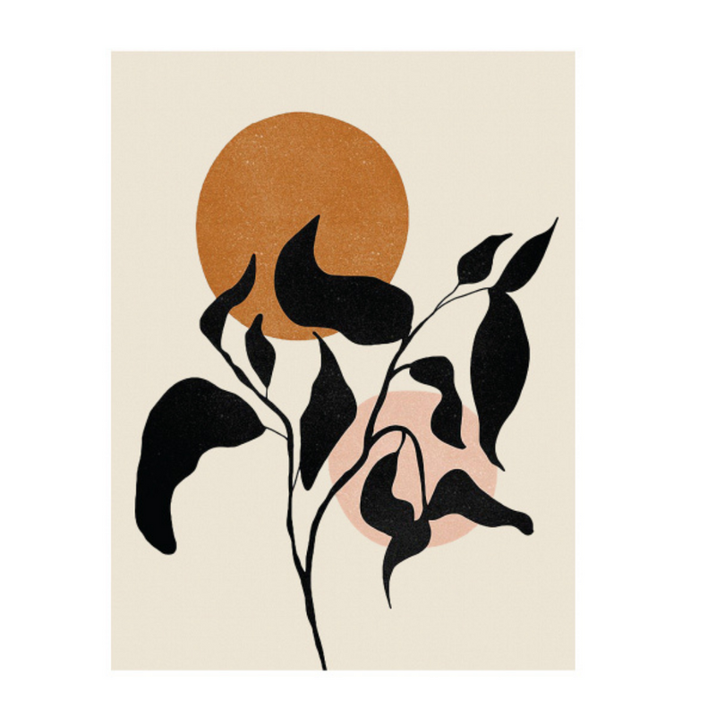 Ronis Canvas Bella Boheme 30x40cm Assorted