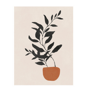 Ronis Canvas Bella Boheme 30x40cm Assorted