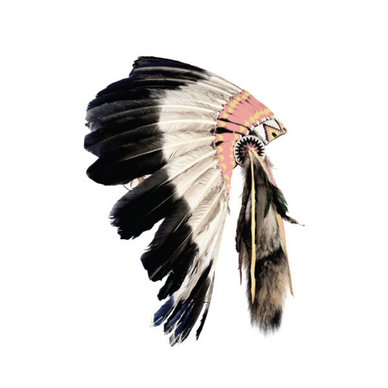 Ronis Canvas Gypsy Magic 30x40cm Assorted