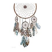 Ronis Canvas Gypsy Magic 30x40cm Assorted