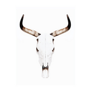 Ronis Canvas Gypsy Magic 30x40cm Assorted