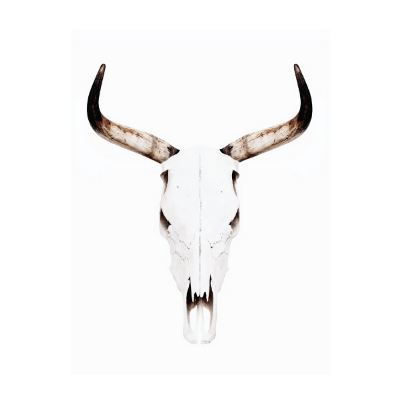 Ronis Canvas Gypsy Magic 30x40cm Assorted