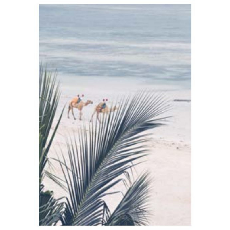 Ronis Canvas Indigo Streets 60x80cm Assorted