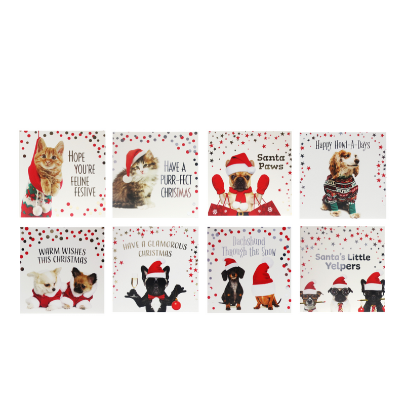 Ronis Cards Pet Foiled SQ 10pk Assorted