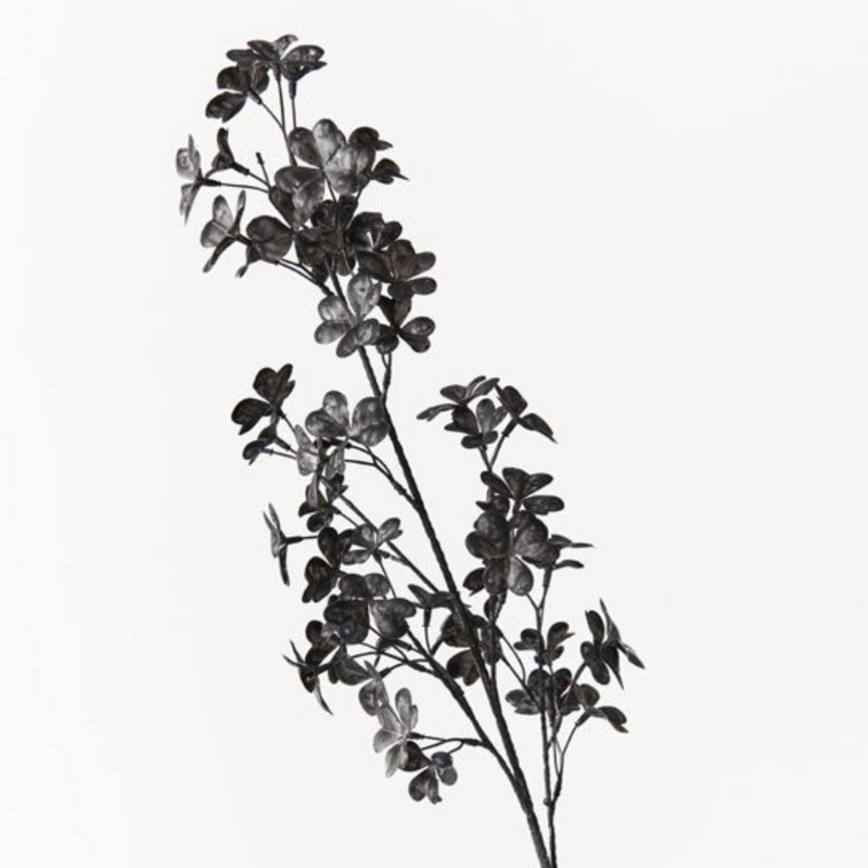 Ronis Clover Spray Licorice 76cml