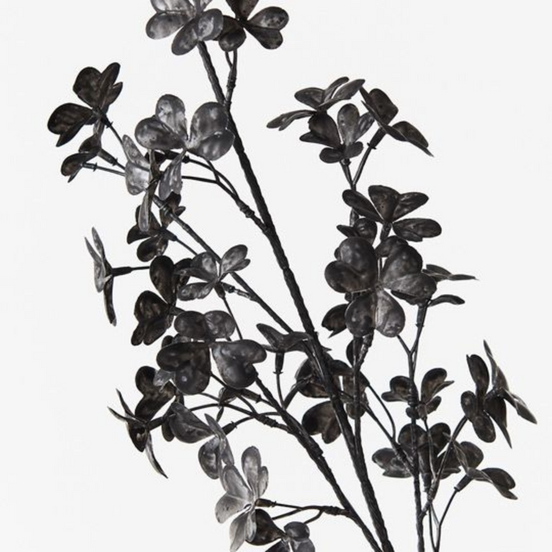 Ronis Clover Spray Licorice 76cml