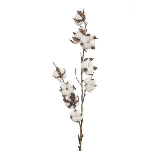 Ronis Cotton Spray Natural 71cml