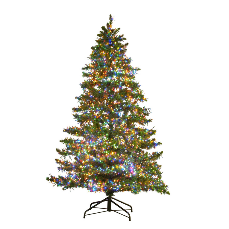Green Oxford Tree 213cm, 7ft