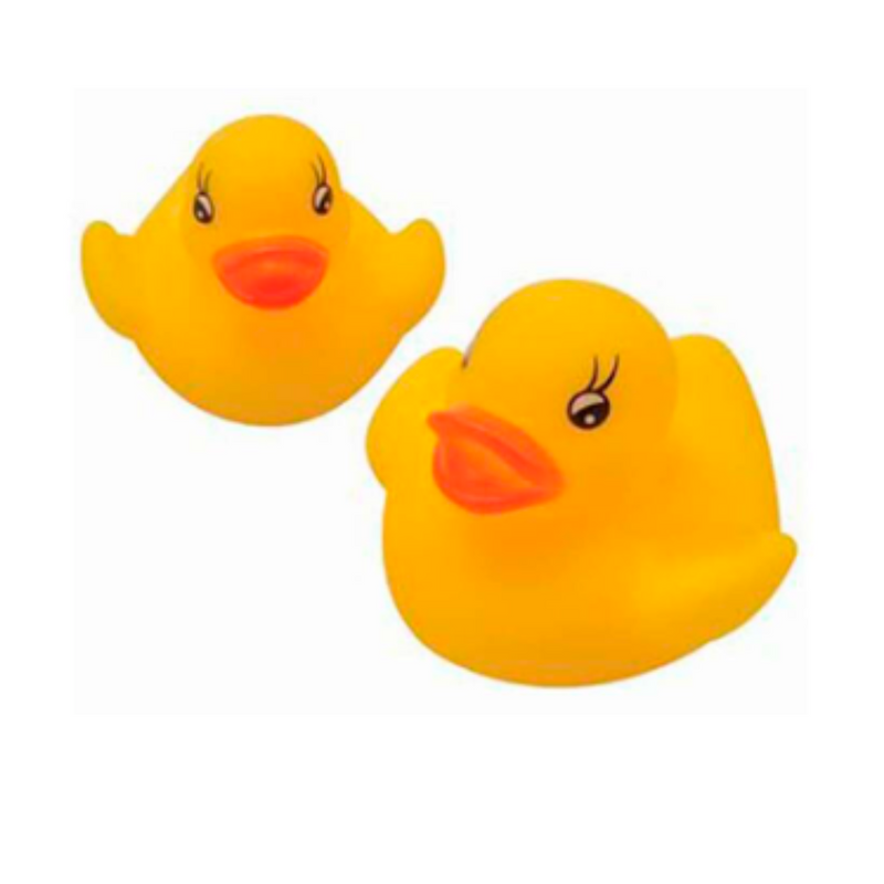 FAVOUR RUBBER DUCK 2PK