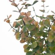 Ronis Eucalyptus Bush Olive Green 32cml – thumbnail