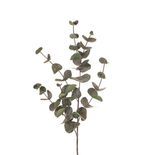 Ronis Eucalyptus Silver Dollar Dark Green 86cml