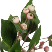 ARTIFICIAL FLOWERâ„¢ Berry Leaf Spray Cream Pink (73cml) – thumbnail