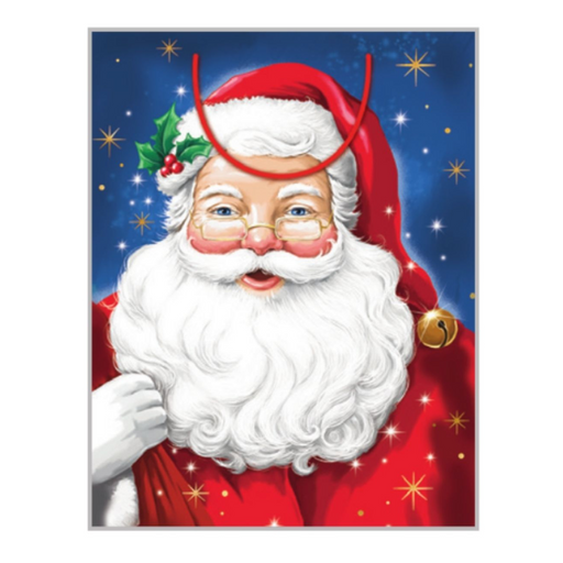 Ronis FSC Christmas Traditional Santa Gift Bag Medium