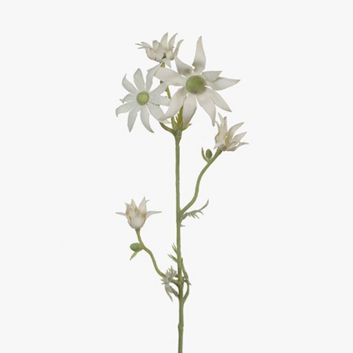 Ronis Flannel Flower Cream Green 46cml