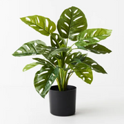 Artificial Monstera Adansonii 53cmh Green – thumbnail