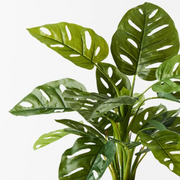 Artificial Monstera Adansonii 53cmh Green – thumbnail