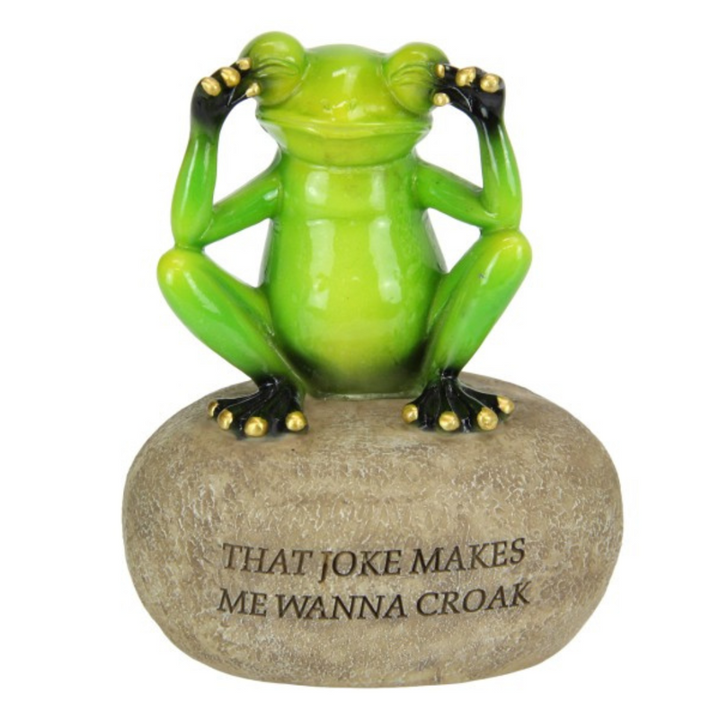 Ronis Frog on Rock with Joke Wording 12cm