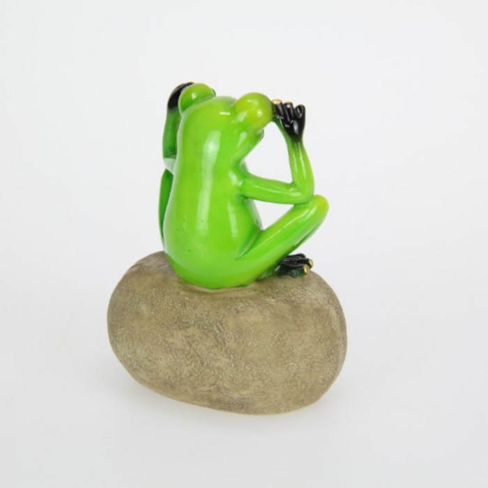 Ronis Frog on Rock with Joke Wording 12cm