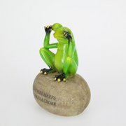 Ronis Frog on Rock with Joke Wording 12cm