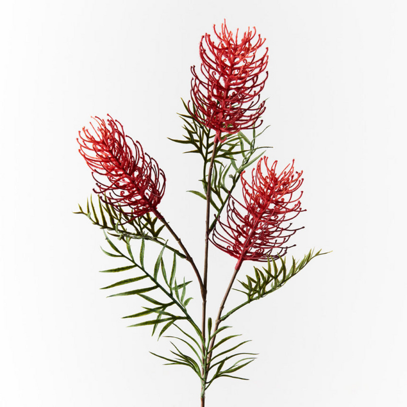 Ronis Grevillea Spray Red 84cml