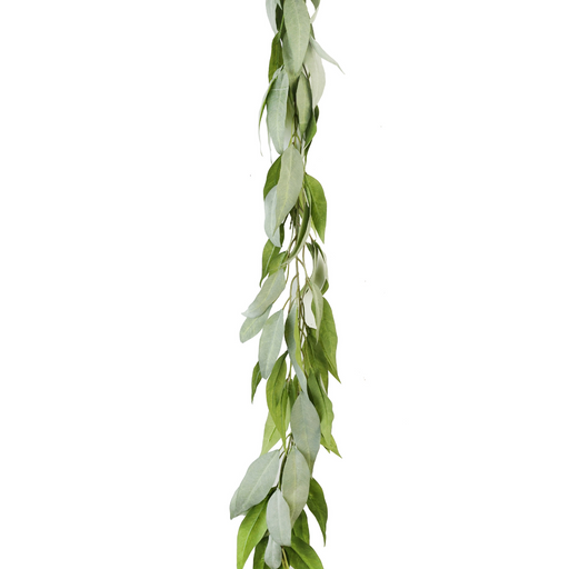 Ronis Gum Leaf Garland 180cm