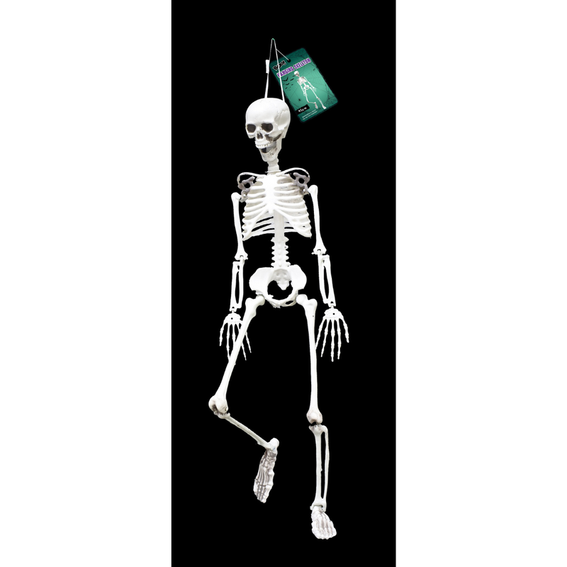 Ronis Hanging Posable Skeleton 95cm
