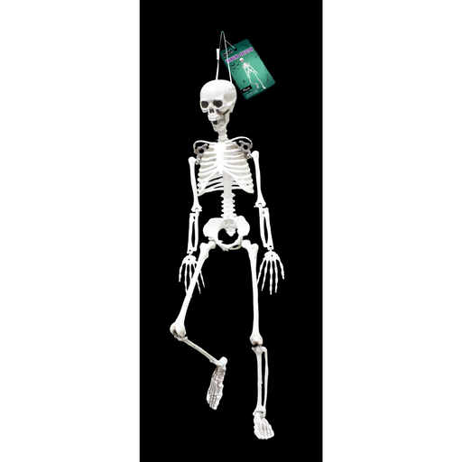 Ronis Hanging Posable Skeleton 95cm