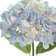 Ronis Hydrangea French Blue 47cml