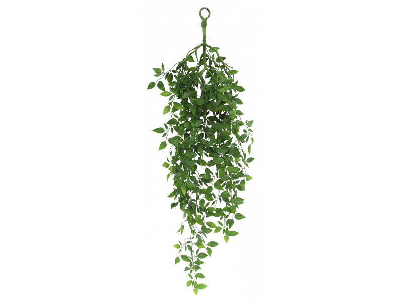 Hanging Satin Pothos