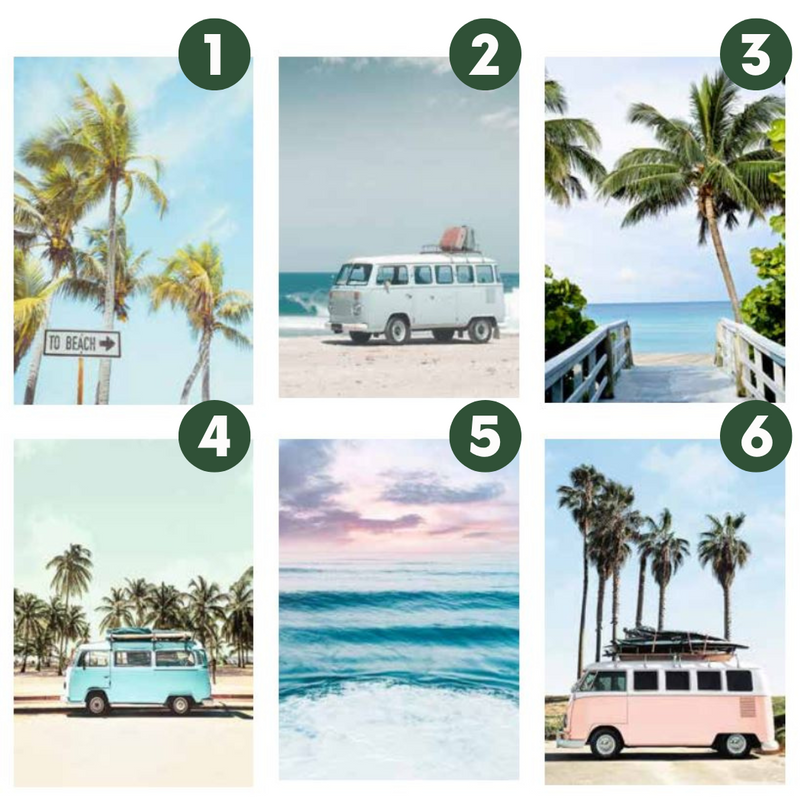 Ronis Kombi Views 60x80cm 6 Asstd