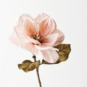 Ronis Magnolia Dusty Pink 66cml