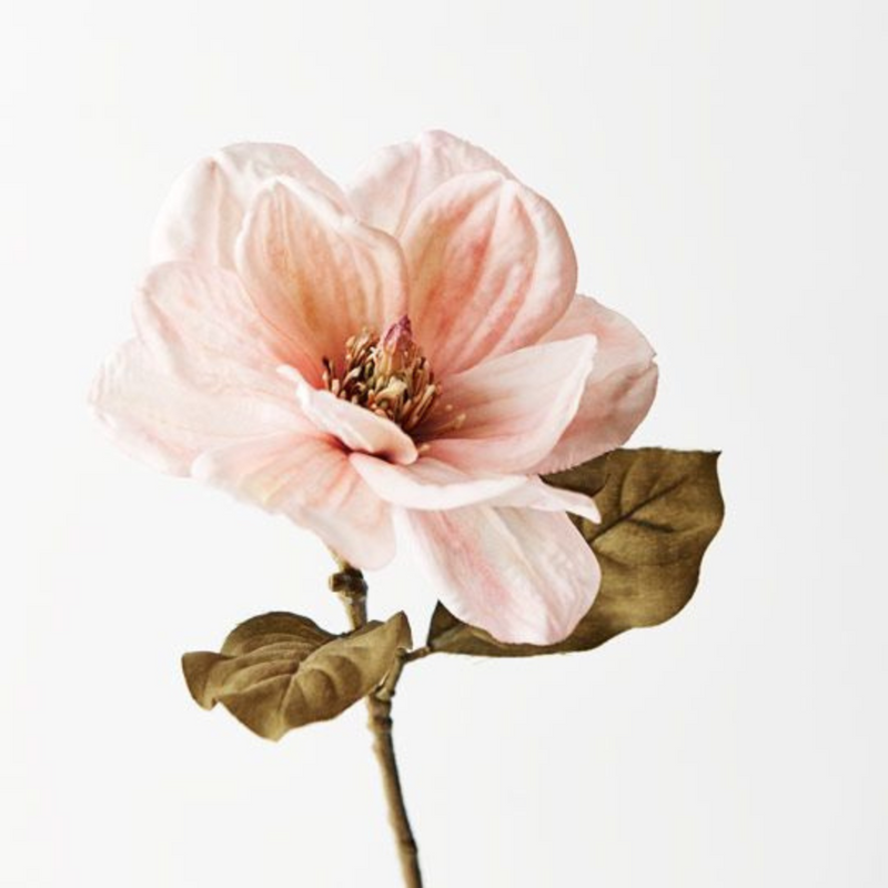 Ronis Magnolia Dusty Pink 66cml