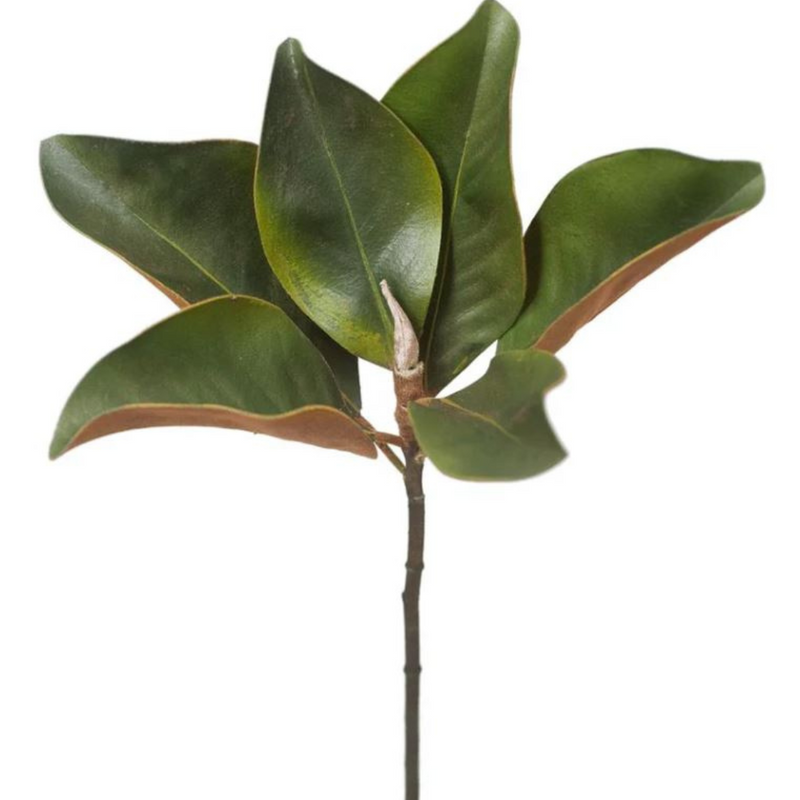 Ronis Magnolia Foliage Green 35cml