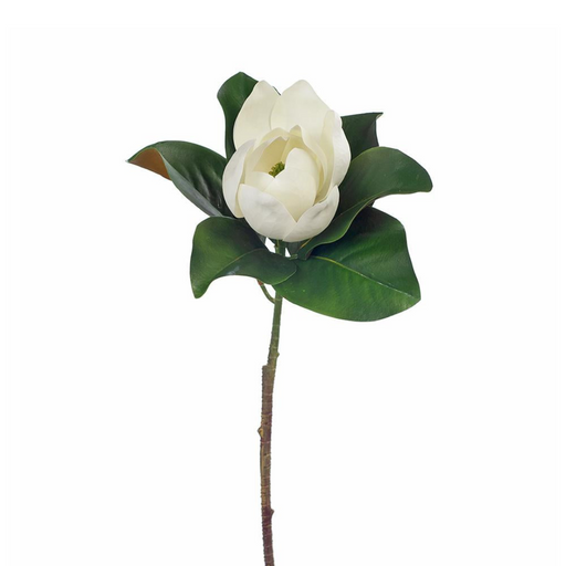 Ronis Magnolia White 68cml