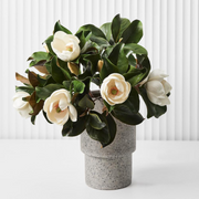 Ronis Magnolia White 68cml – thumbnail