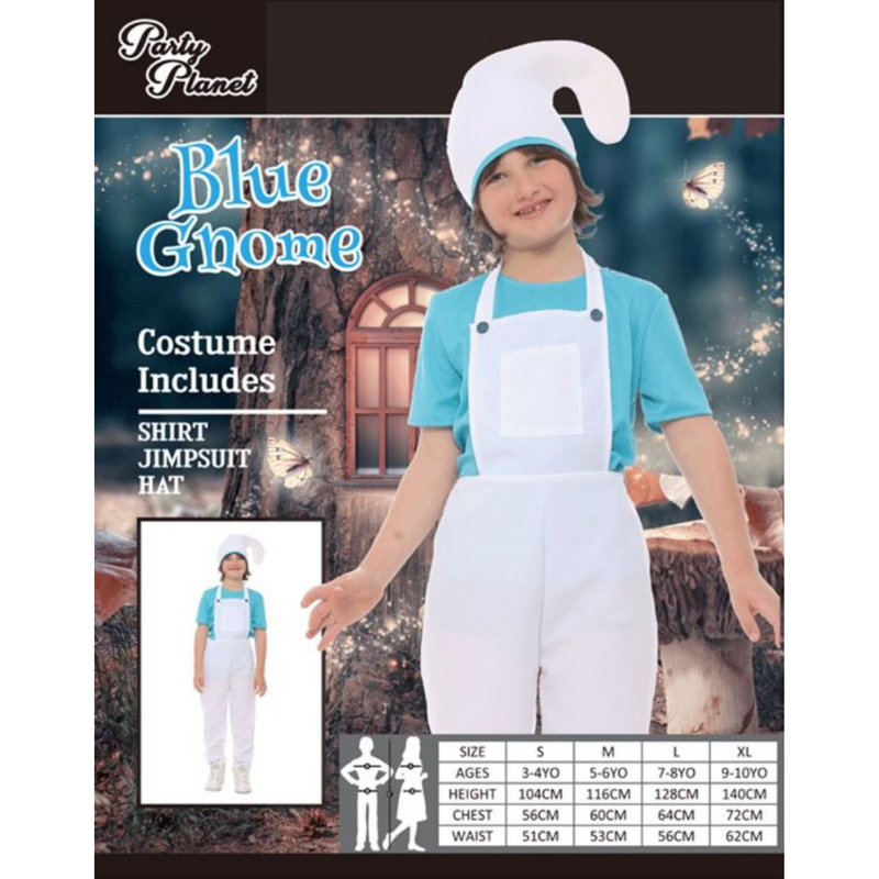 Ronis Mr Blue Gnome Large