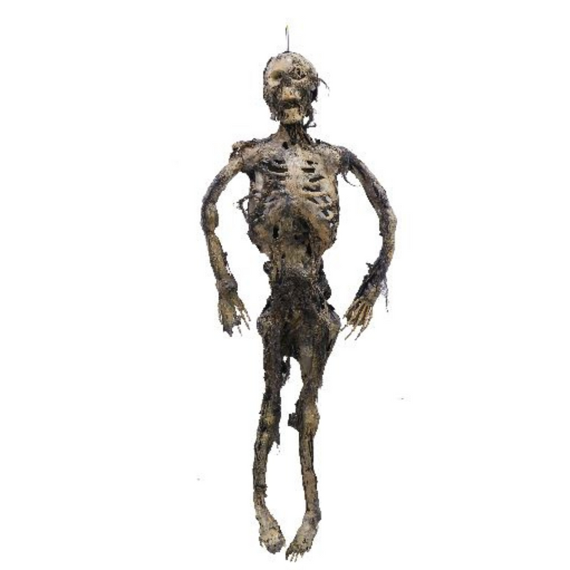 Ronis Mummified Human Body 3m