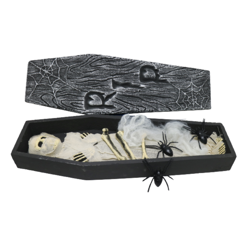 Ronis Mummy in Coffin 69cm